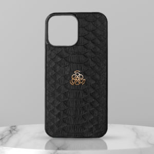 IPhone case python