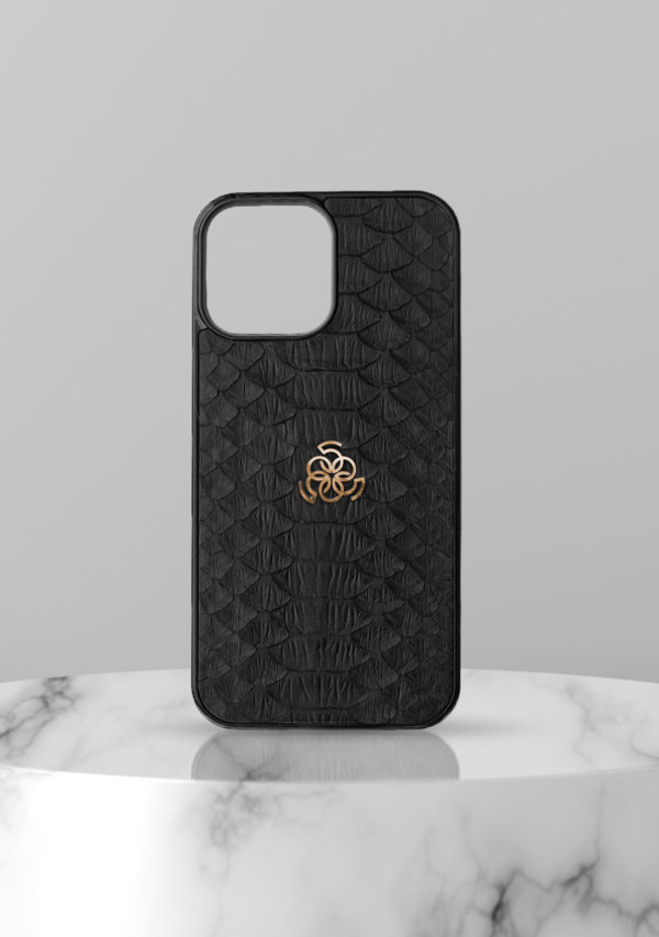 IPhone case python